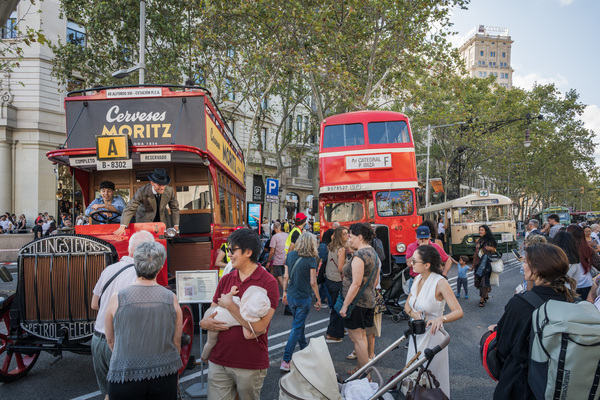 Exhibici&oacute; d'Autobusos Cl&agrave;ssics a Passeig de Gr&agrave;cia / Foto: Pep Herrero (TMB)