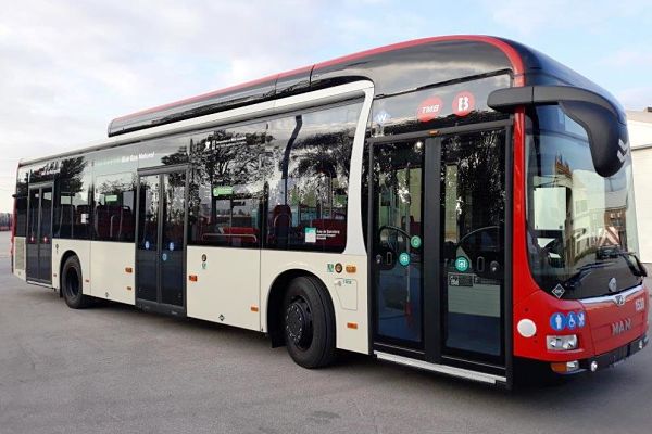Autobús MAN Lion's City estàndard adquirit el 2019 / Foto: TMB