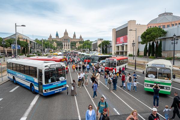 Els autobusos clàssics de la Fundació TMB, Sagalés i ARCA a vista d'ocell / Foto: Miguel Ángel Cuartero (TMB) Els autobusos clàssics de la Fundació TMB, Sagalés i ARCA a vista d'ocell / Foto: Miguel Ángel Cuartero (TMB)