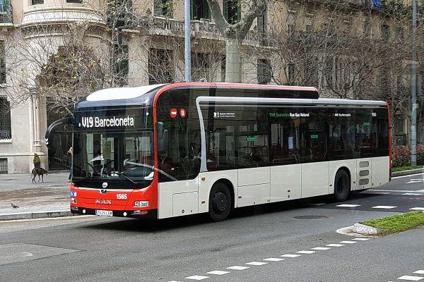 Autobús de la línia V19 al passeig de Sant Joan / Foto: TMB