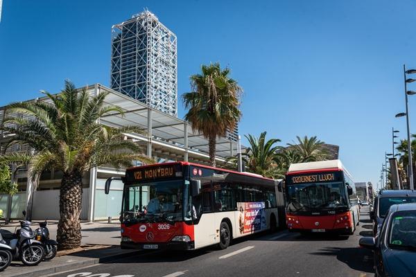Autobusos de la nova xarxa al passeig Marítim / Foto: Pep Herrero (TMB)