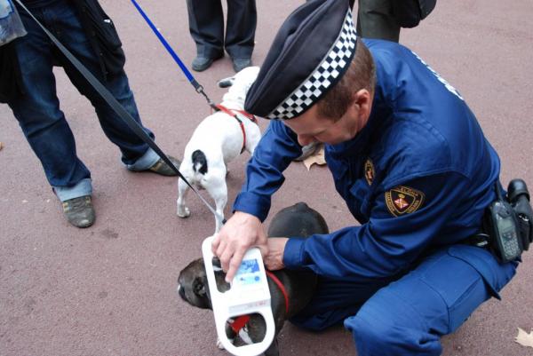Agents de la Guàrdia Urbana comprovant el xip d'un gos / Foto: Guàrdia Urbana de Barcelona