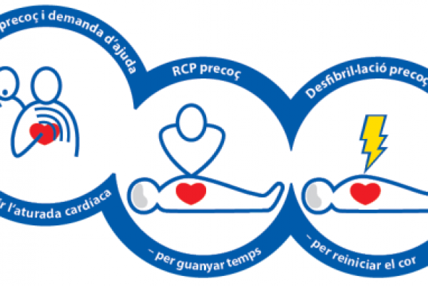 Extracte de la cadena de supervivència on intervé la RCP / Imatge: European Resuscitation Council