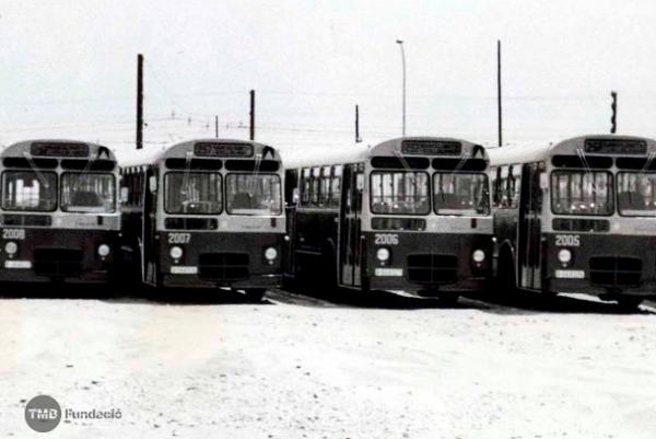 Autobusos destinats a la línia 257, el 1967 / Foto: Arxiu TMB