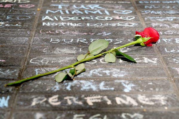 Una rosa sobre el paviment de la Rambla després de l'atemptat / Foto: Ajuntament de Barcelona