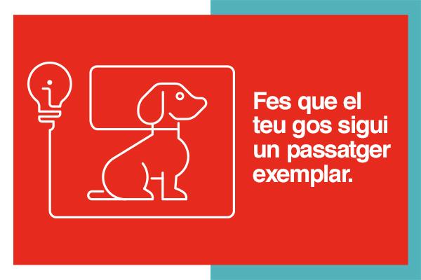 Visual de la campanya de l'accés de gossos al metro / TMB