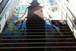 El projecte Cucarachart a les escales de Passeig de Gràcia