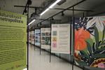La nova exposició "Naturalment Metropolitans" a l'Espai Mercè Sala / Foto: AMB