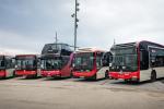 Una mostra dels nous autobusos incorporats / Foto: Pep Herrero (TMB)