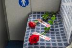 Roses sobre seients reservats en un autobús / Foto: Pep Herrero (TMB)