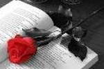 Imatge d'un llibre i una rosa per Sant Jordi