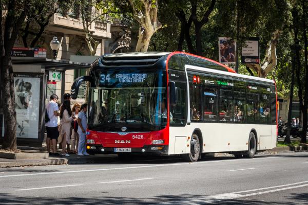 Autobús estàndard híbrid de TMB