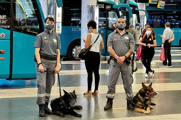 Els primers gossos i guies canins de vigilància del transport de Gran Canària / Foto: TMB